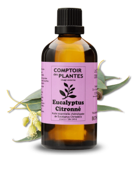 Eucalyptus Citronné