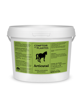 Produit de soin des articulations cheval boiterie bio