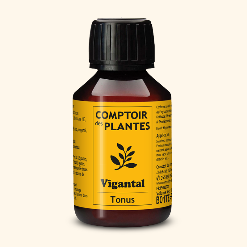 Stimulant tonus B01TE 100ml Stimulant tonus B01TE 100ml