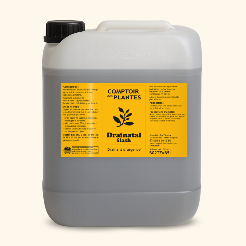 drainatal flash b02te 5L