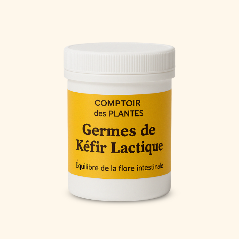 Germes de Kefir lactique B20MB Germes de Kefir lactique B20MB
