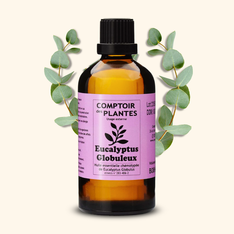 Huile essentielle d'Eucalyptus globuleux B08HE Huile essentielle d'Eucalyptus globuleux B08HE