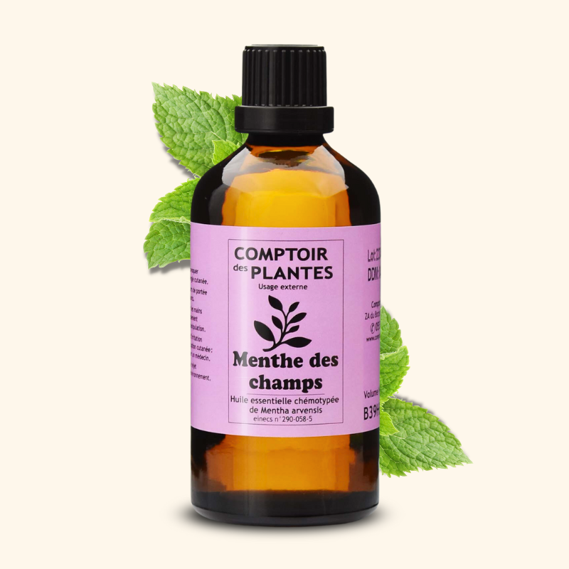 Huile essentielle de Menthe des champs