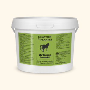 Equilibre immunité Cheval B01CV2 3 L