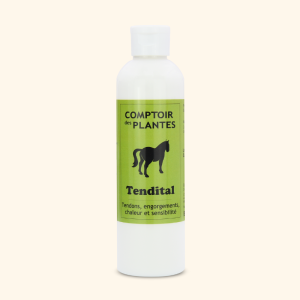 Crème tendons douloureux - congestion cheval BIO