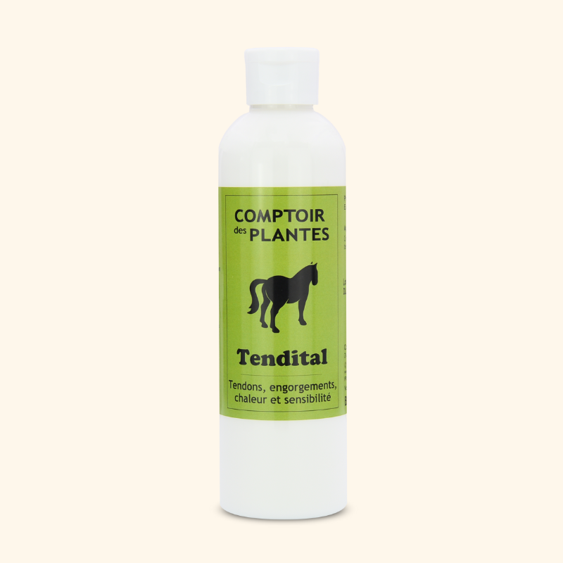 Crème tendons douloureux - congestion cheval BIO Crème tendons douloureux - congestion cheval BIO