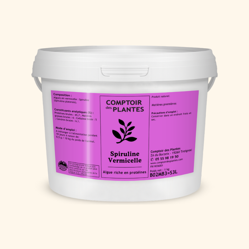 Spiruline Vermicelle Spiruline Vermicelle