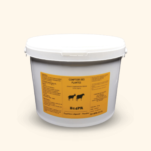 Vermital Poudre B14PR