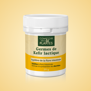 Germes de Kefir lactique B20MB