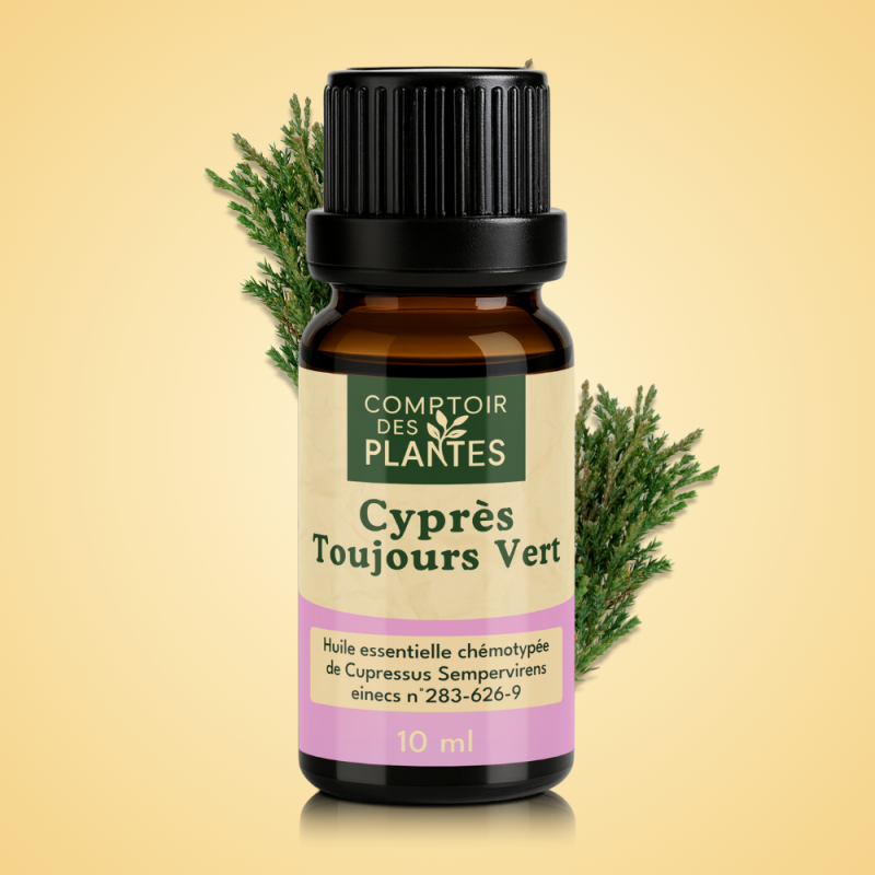 Huile essentielle de Cyprès toujours vert