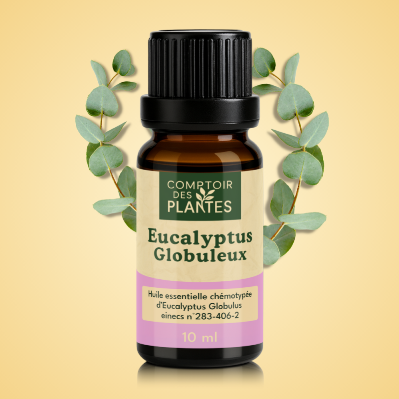 Huile essentielle d'Eucalyptus globuleux B08HE