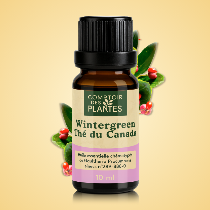 Huile essentielle de Gaulthérie B10HE