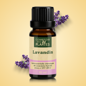 Huile essentielle de Lavandin Grosso B13HE