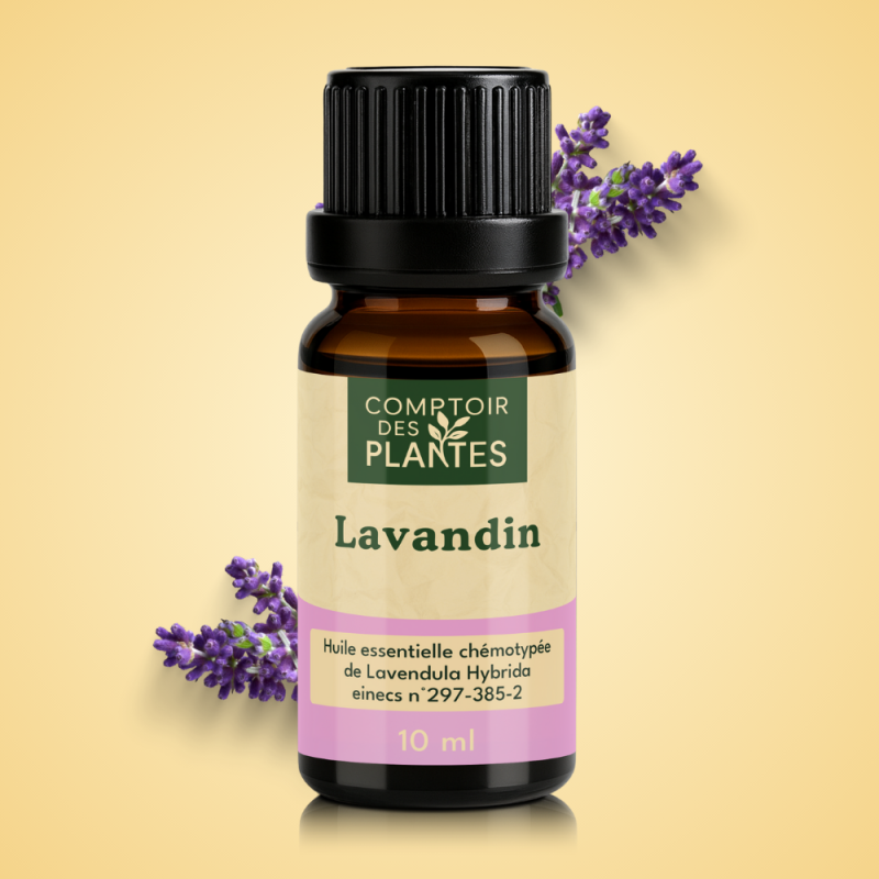 Huile essentielle de Lavandin Grosso B13HE