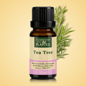 Huile essentielle de Tea tree B14HE