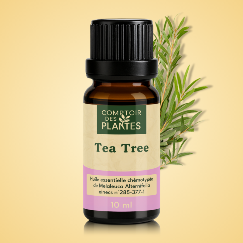 Huile essentielle de Tea tree B14HE