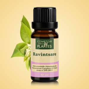 Huile essentielle de Ravintsare B19HE
