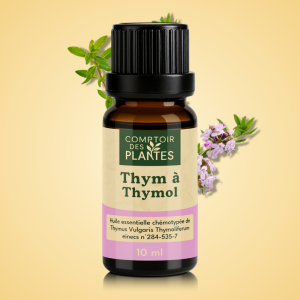 Huile essentielle de Thym à thymol B25HE