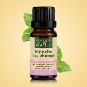 Huile essentielle de Menthe des champs