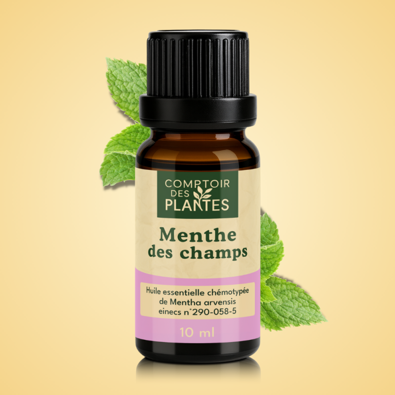 Huile essentielle de Menthe des champs