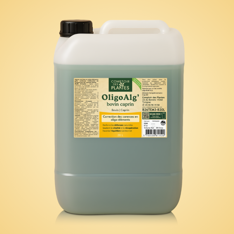 Oligo'Alg Liquide B26TEM3