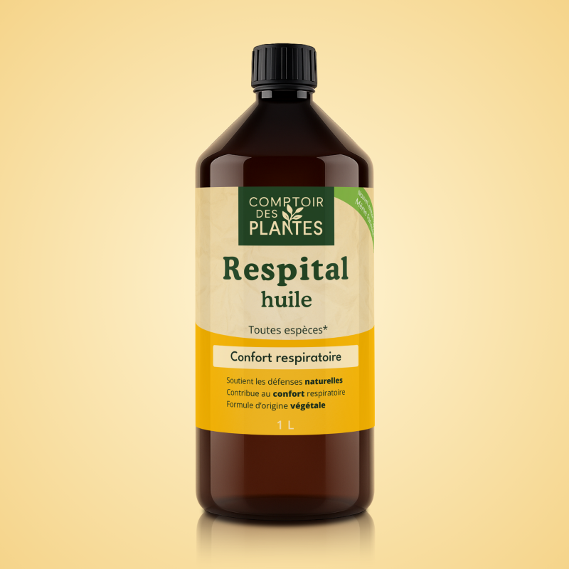 Produit naturel à l'eucalyptus pour le confort respiratoire B34TE