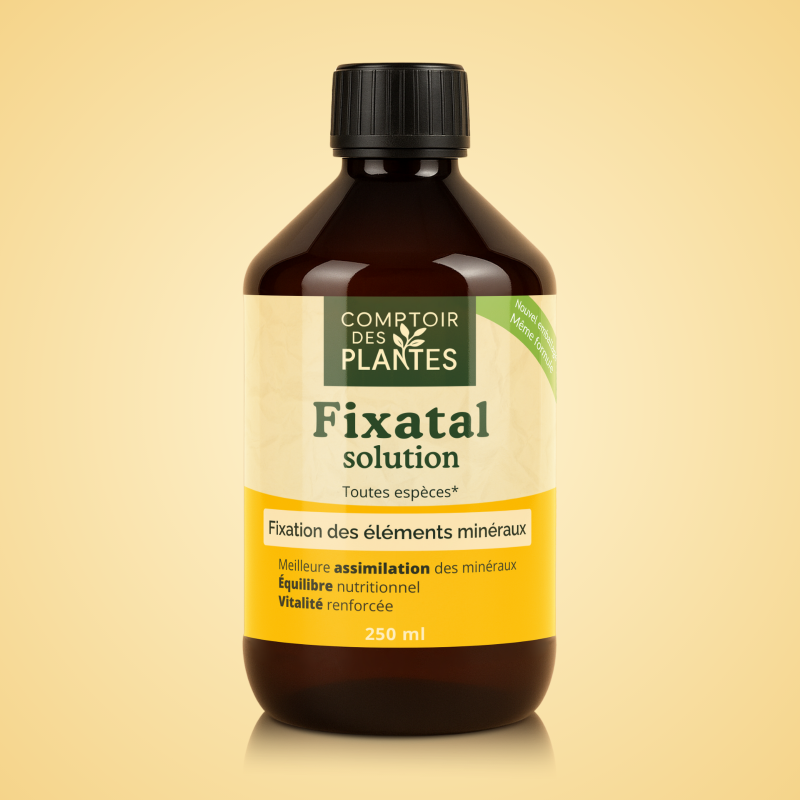 fixatal B35TE 250ml