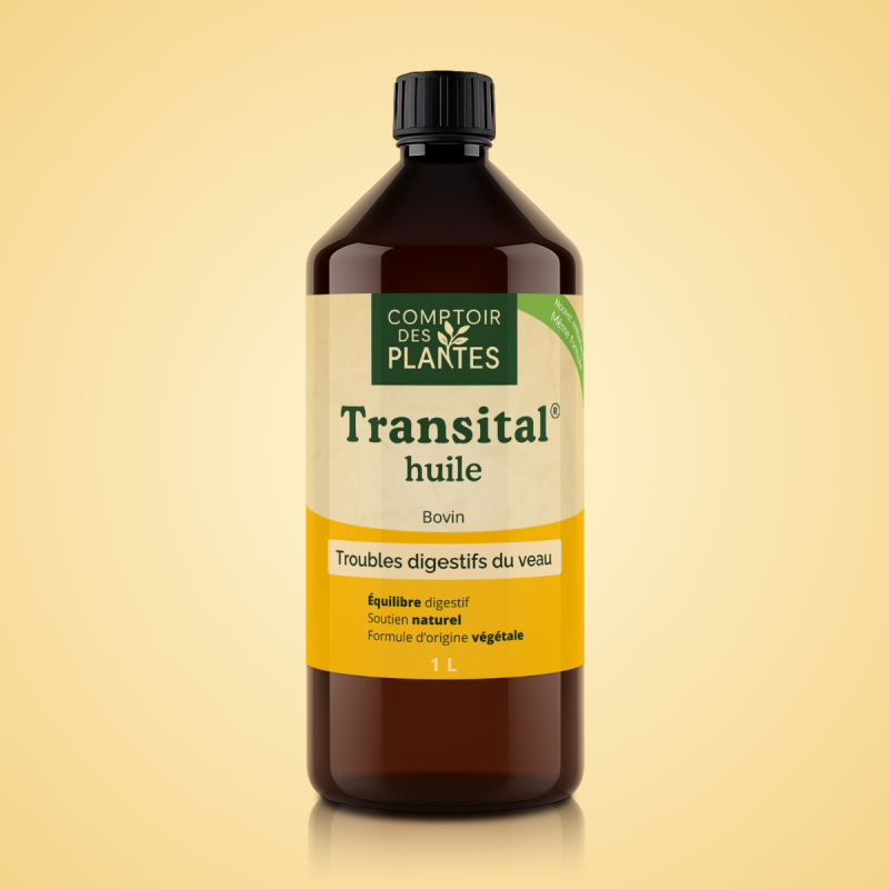 Transital Huile B07B, pour troubles digestifs du veau
