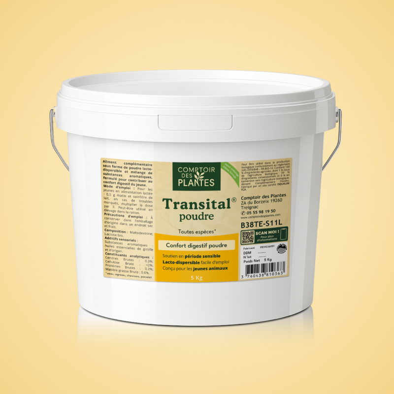 Troubles digestifs veaux, agneaux, chevreaux, transital B38te