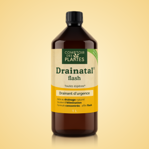 drainatal flash b02te 1l