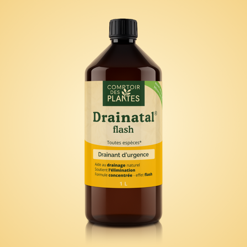 drainatal flash b02te 1l