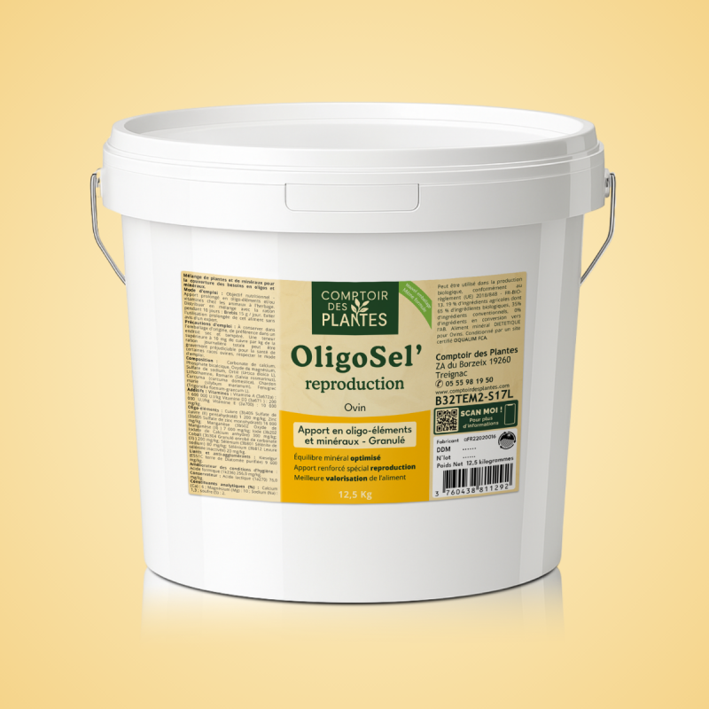 OligoSel Granulés B32TEM2