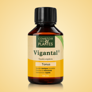 Stimulant tonus B01TE 100ml