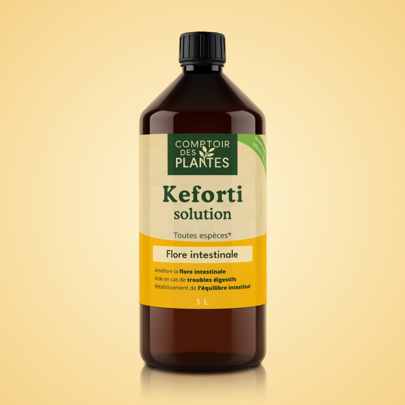 Mise en place du bonne flore intestinale jeunes chevreaux agneaux