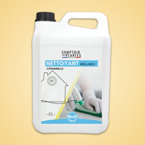 Nettoyant Multi Surfaces