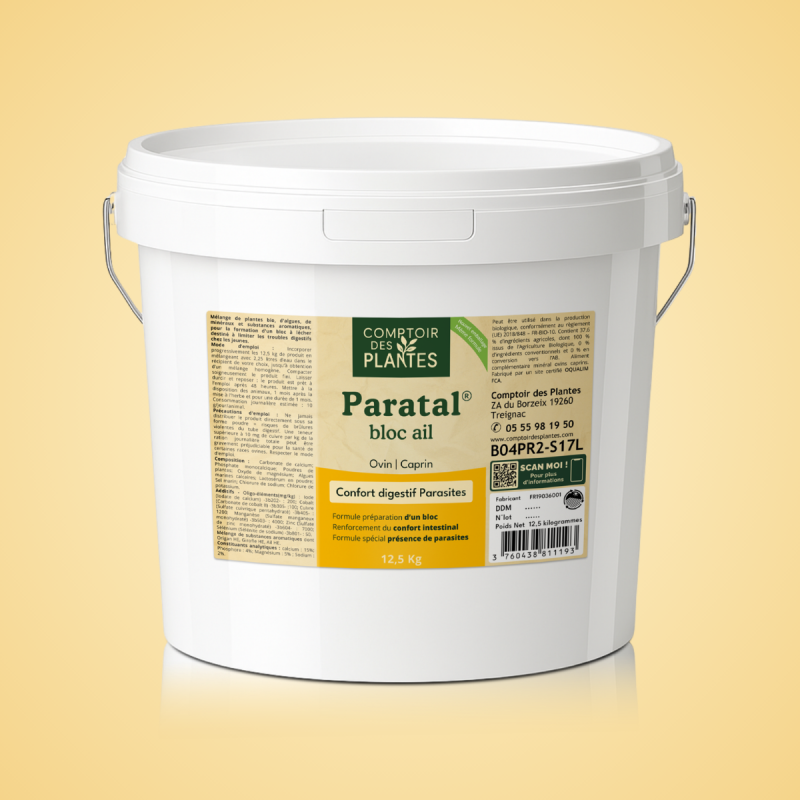 Paratal Bloc Ail B04PR2