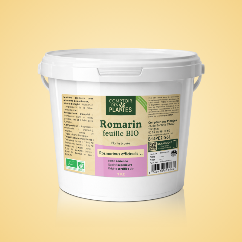 Romarin BIO - Feuille