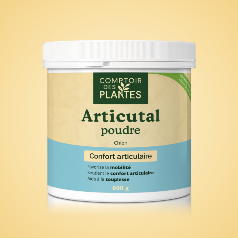 Confort articulaire chiens