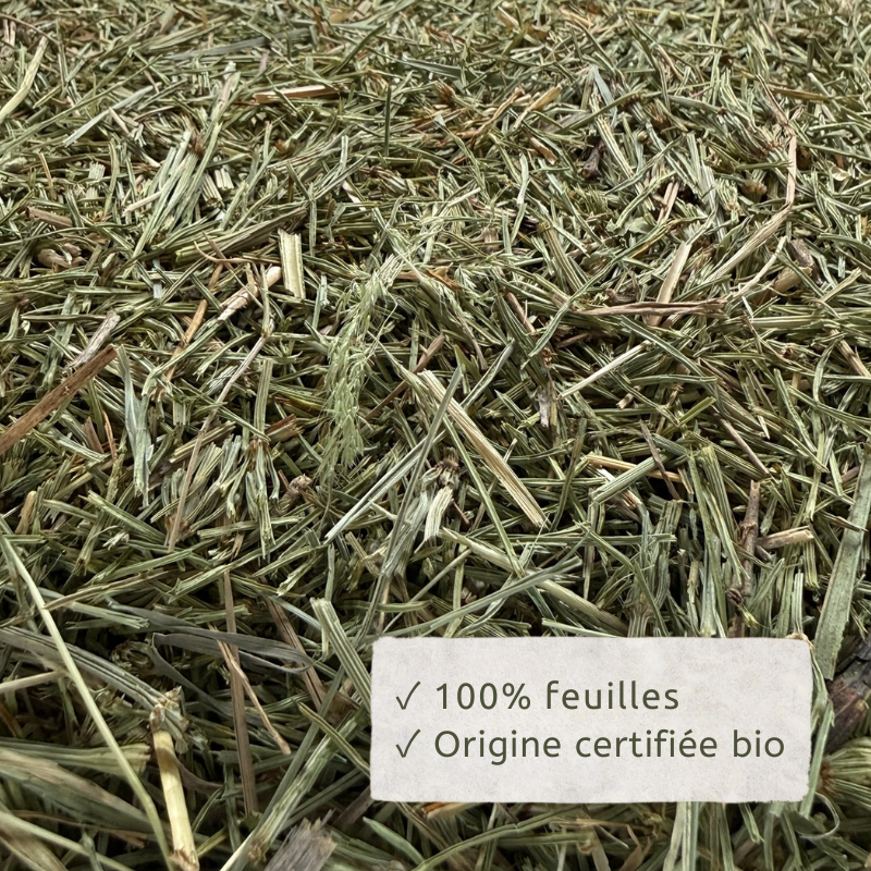 Prêle des Champs broyée 1 kg