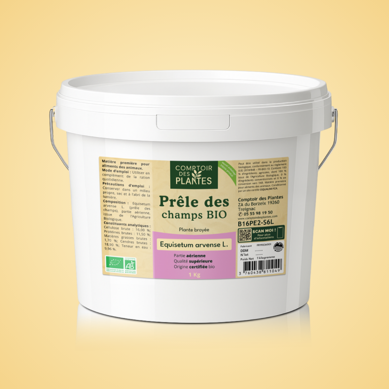 Prêle des Champs plante broyée