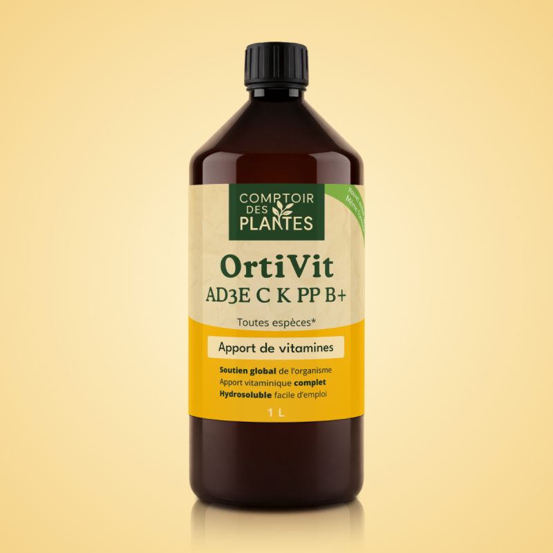 Ortivit vitamines AD3E C K PP B+ B30TEL6 en 1 litre