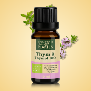 Huile essentielle de Thym à thymol