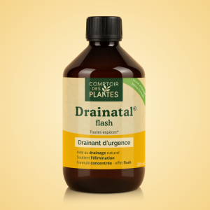 drainatal flash b02te 250ml