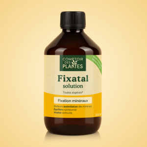 fixatal B35TE 250ml
