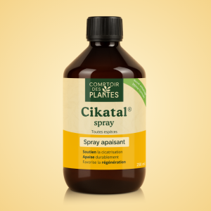 Spray cicatrisant Cikatal B03TE2 250ml avec citronnelle