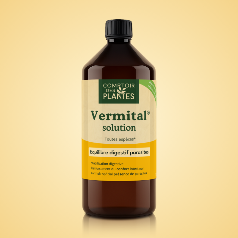 B63TE 1L Vermifuge naturel - bovin - équin - caprin - ovin - présence de parasites