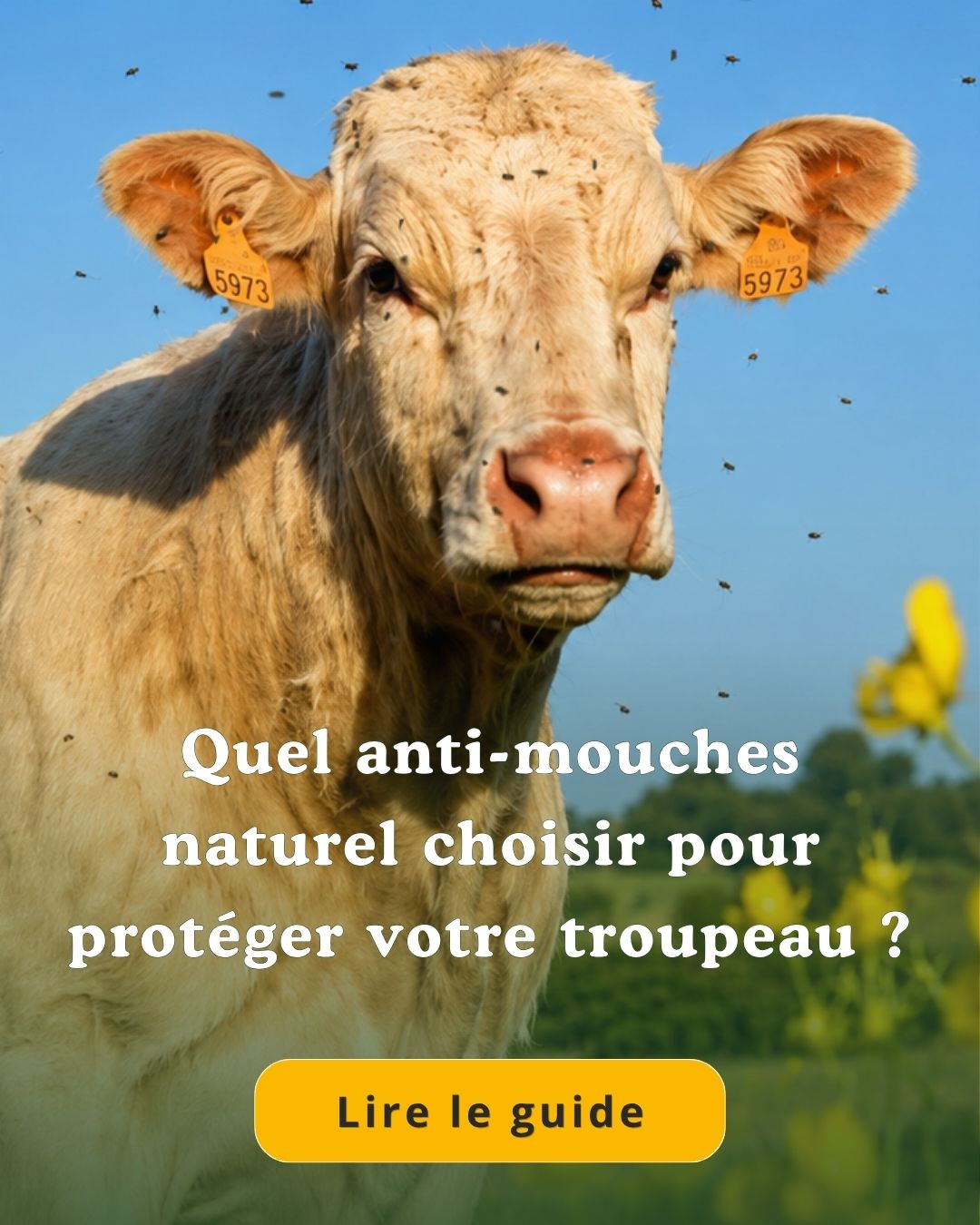 Offre Pâturage B63TE -20 % 