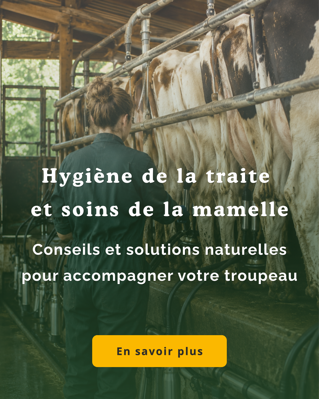 Offre Pâturage B63TE -20 % 