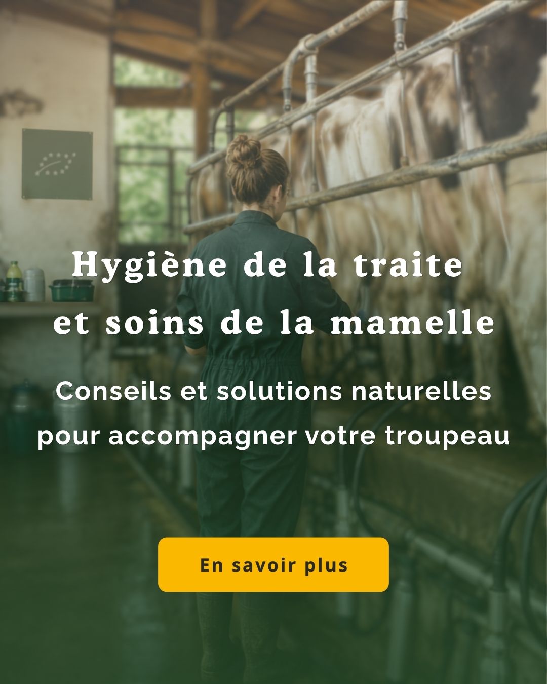 Offre Pâturage B63TE -20 % 