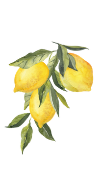 Composition — Gel Lavant Citron - Cheveux et corps